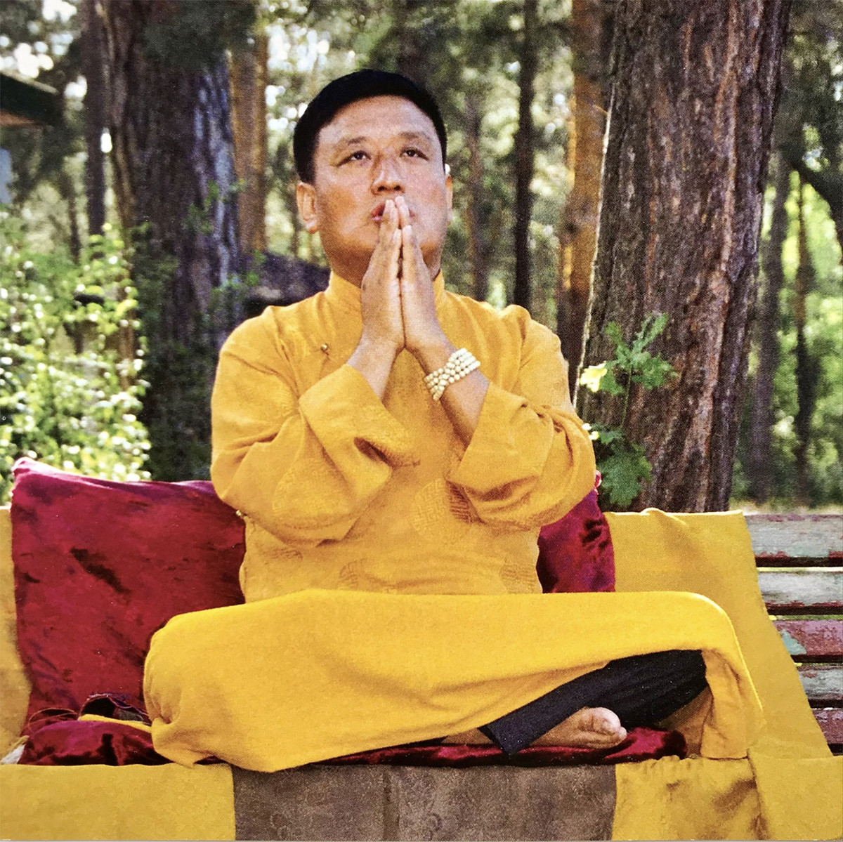 Photo: Tenzin Wangyal Rinpoche