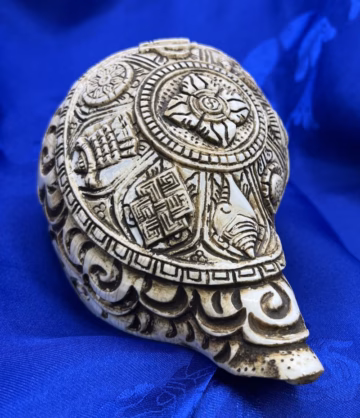 Conch with Auspicious Symbol, Temple Quality