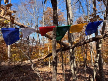 Three Heart Mantra 6 panel Prayer Flag