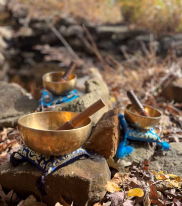 Hand Hammered Tibetan Singing Bowl 8" w/ Striker