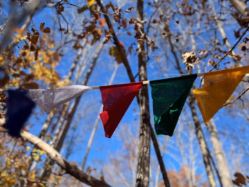 Windhorse 5 panel prayer flags